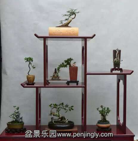 psb (1).jpg