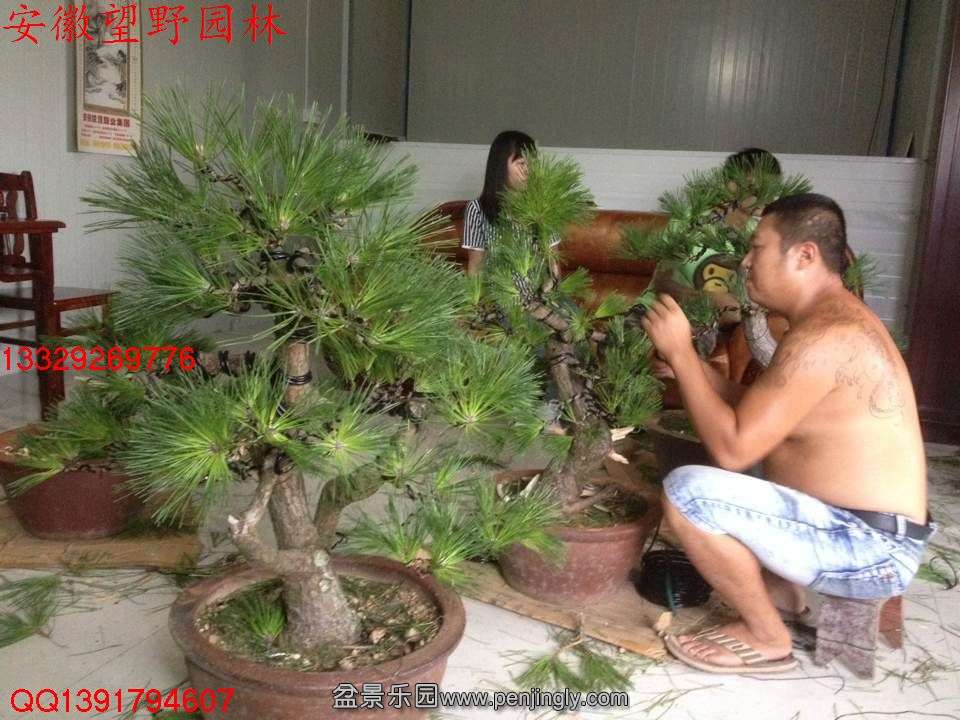 5985BE3C9A500DE14D42BF6CBB2FE058.jpg