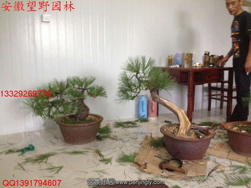 90E3643D0423D14784D45E071C2DE675.jpg