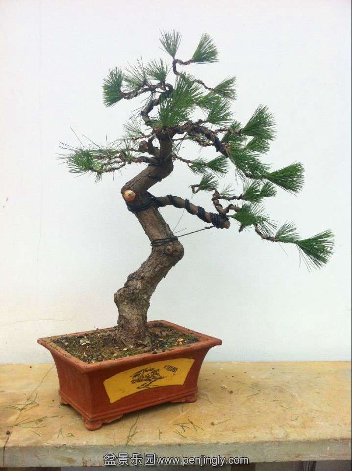QQͼƬ20140828201538.jpg