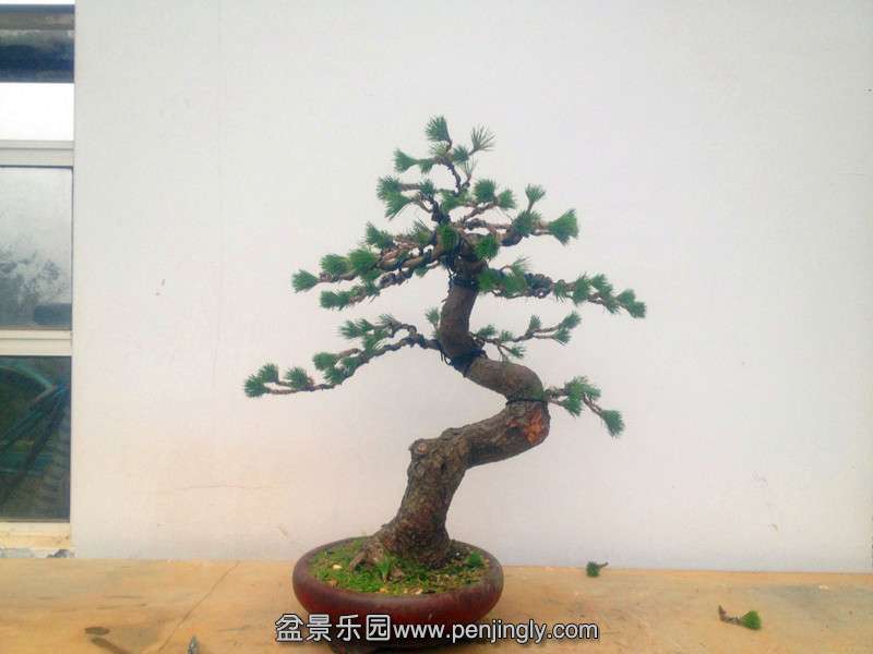 QQͼƬ20140828201637.jpg