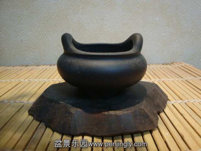 DSC08740.JPG