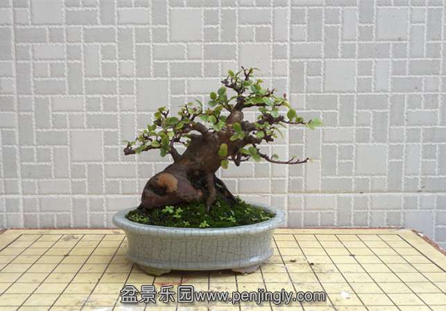 201408311428__.jpg