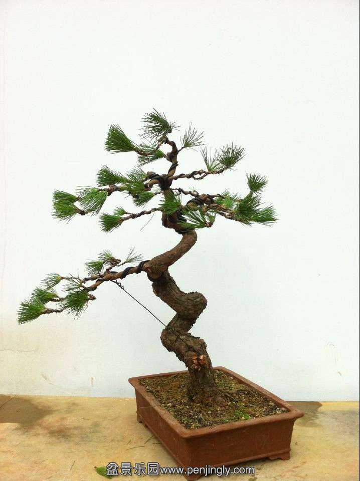 QQͼƬ20140830200253.jpg