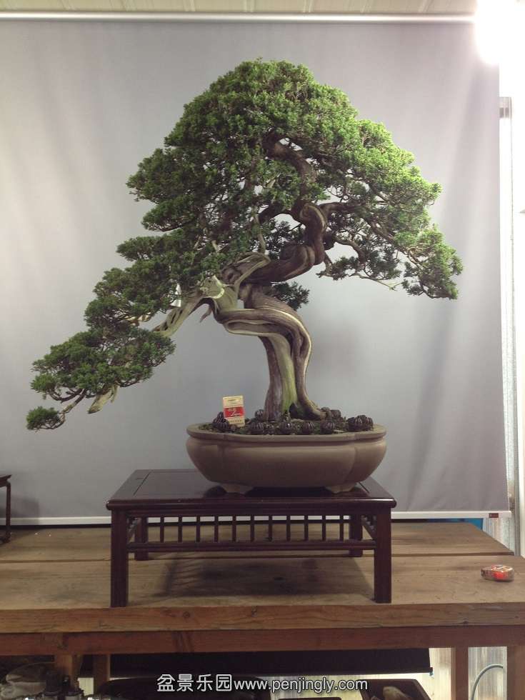 2ţ100cm100cm