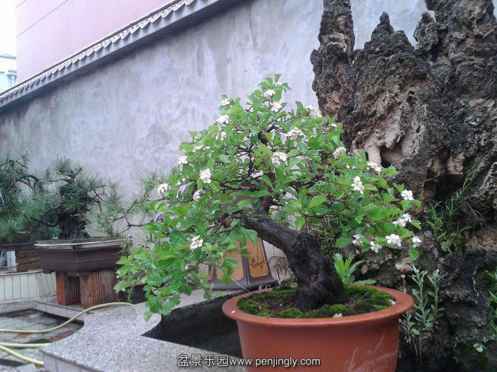 20140419_072334.jpg