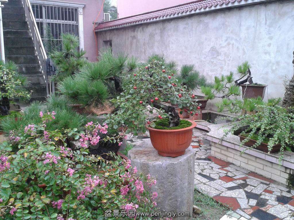 20140831_092131.jpg