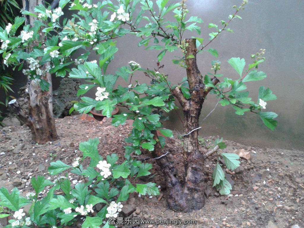 20140417_072543.jpg