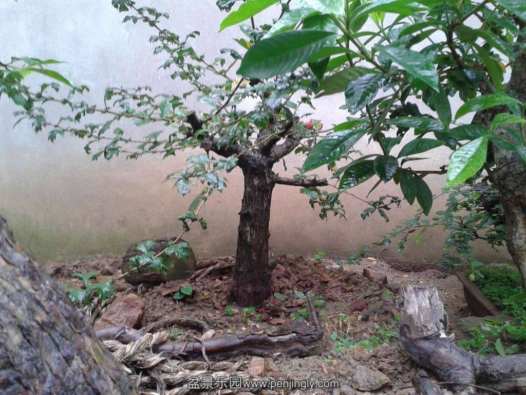 20140831_092235.jpg