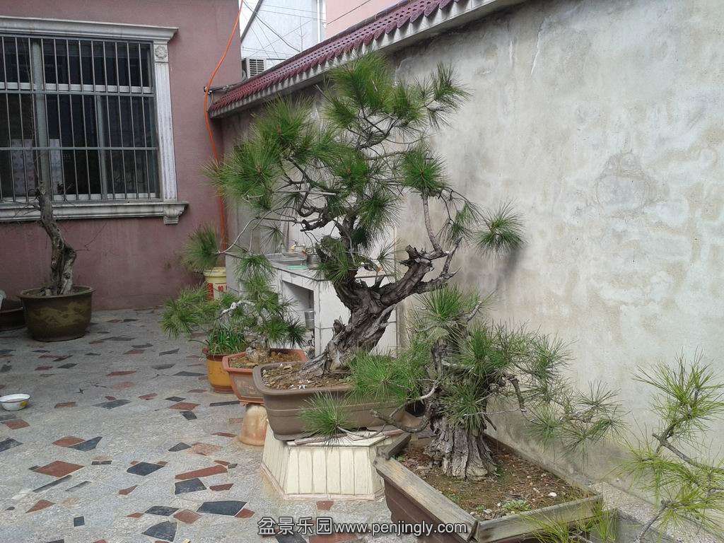 20140303_134716.jpg