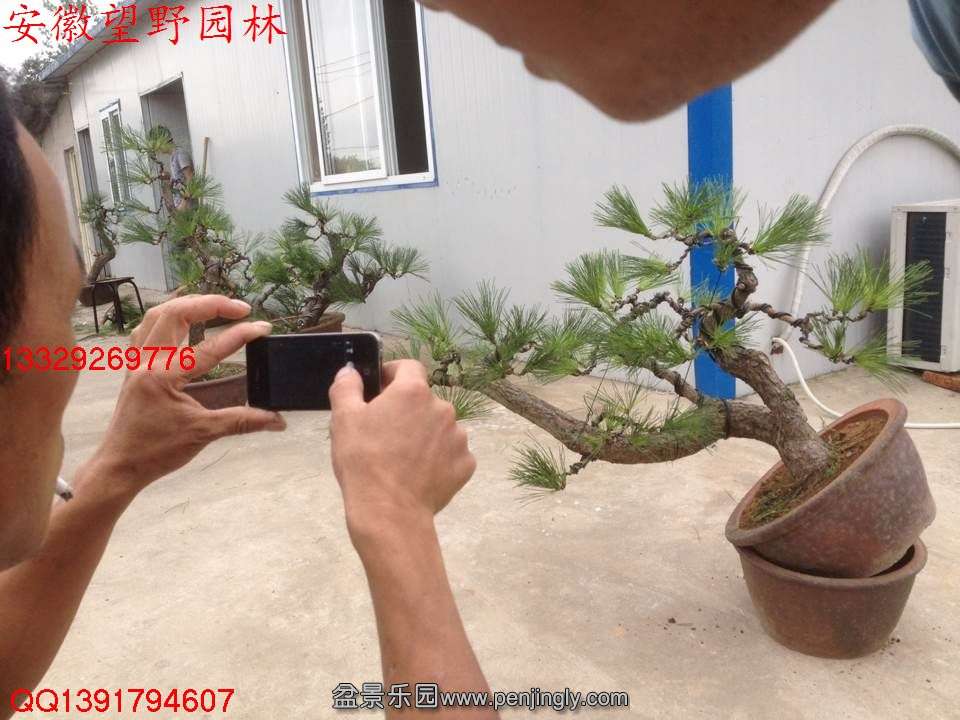 5E50EAD0ECFF1E2056DE83BD9195E395.jpg
