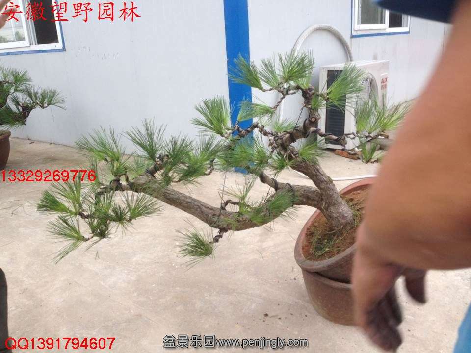 6E25EC2A948D1DEF1045F8340995E9A6.jpg