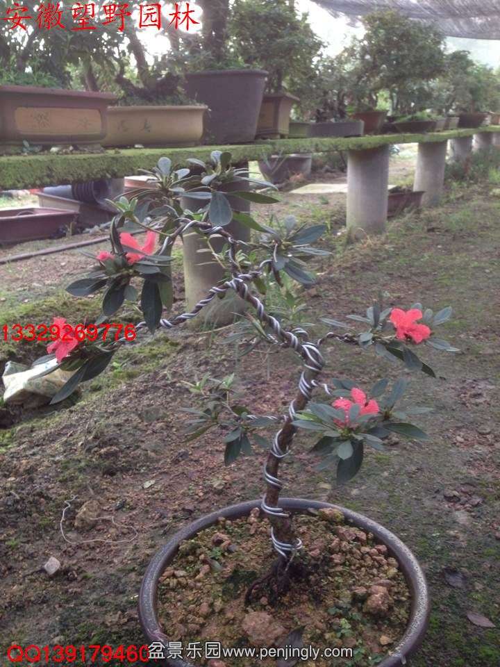 00D676D31D5F8043EAB06A36FCFA60D0.jpg