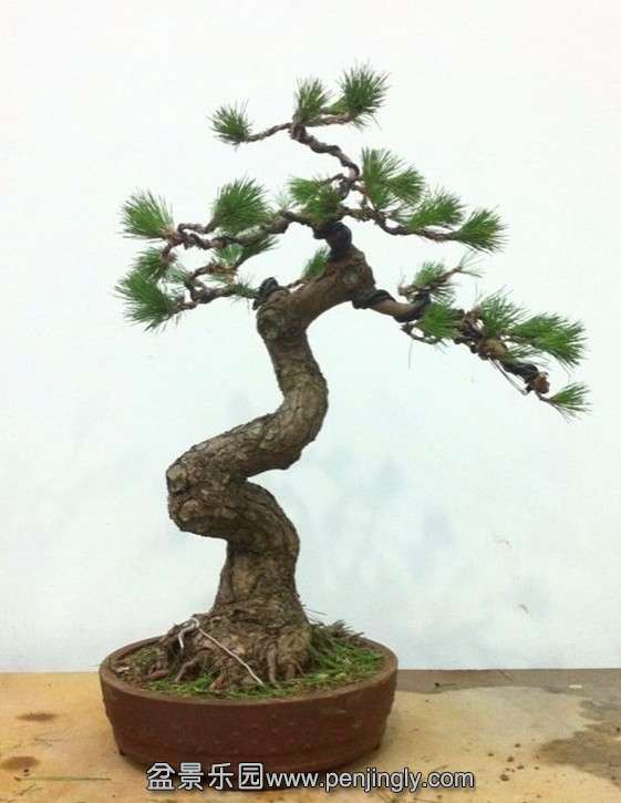 QQͼƬ20140903195030.jpg