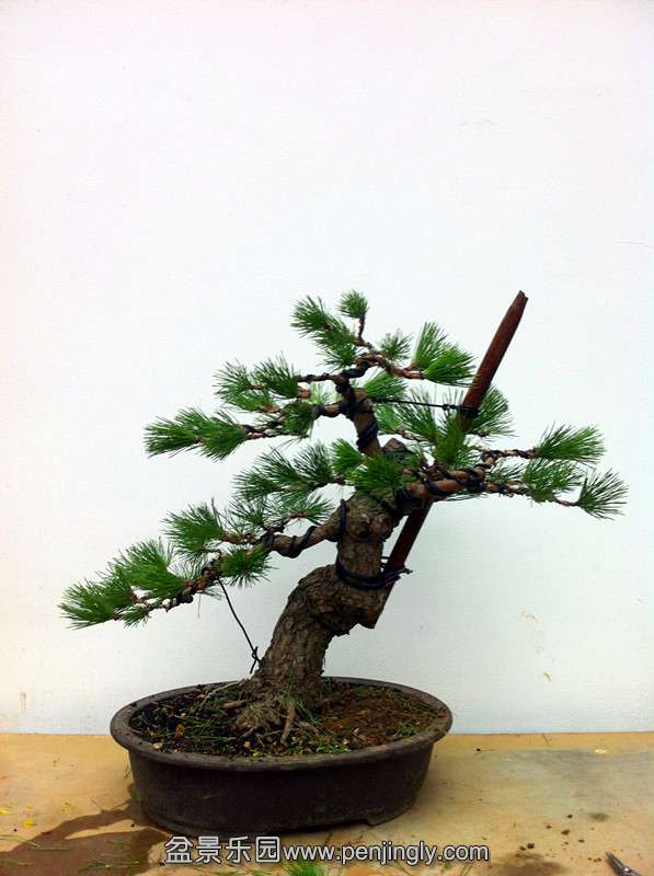 QQͼƬ20140903220635_.jpg