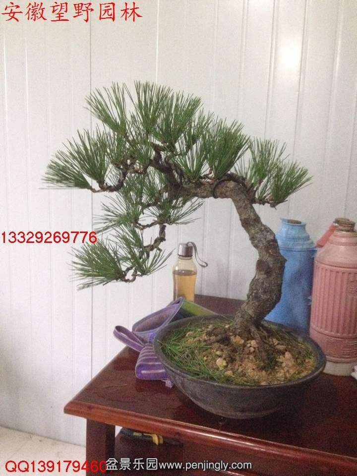 83AC911069F9D17613AD621BBD7FEA2C.jpg