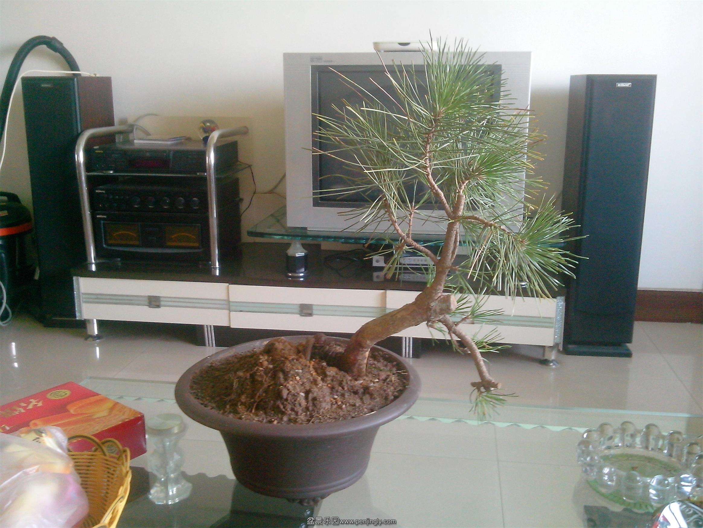 IMG20140904002.jpg