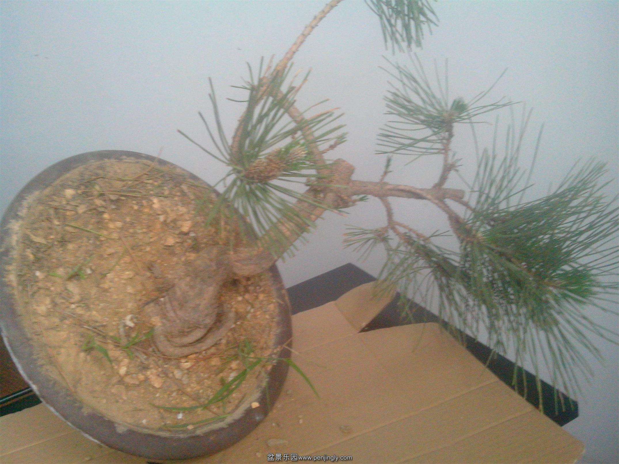 IMG20140616006.jpg