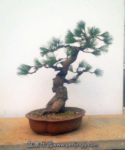 QQͼƬ20140903195503.jpg