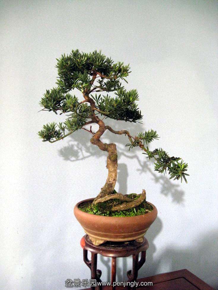 Ƭ 16882.jpg
