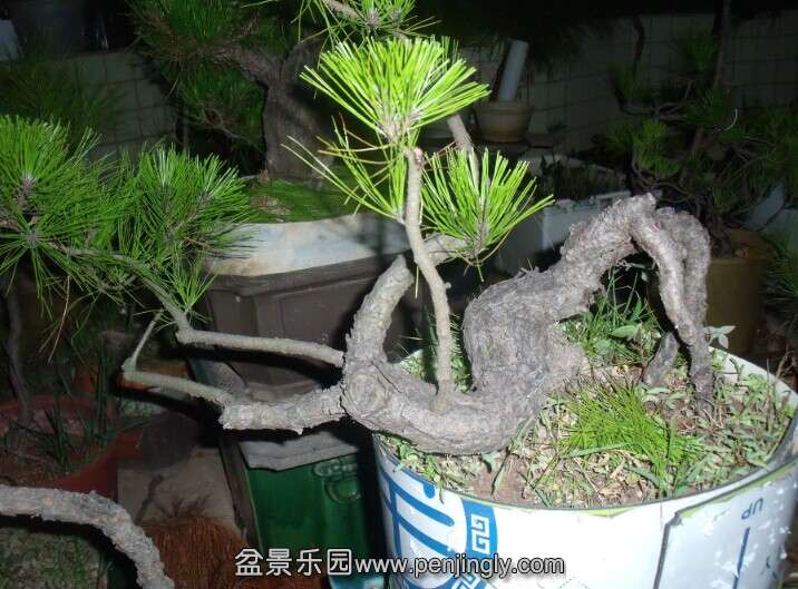 QQͼƬ20140801071610.jpg