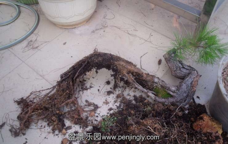 QQͼƬ20131004190757.jpg