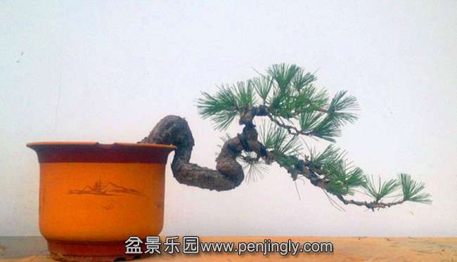 QQͼƬ20140903195542.jpg