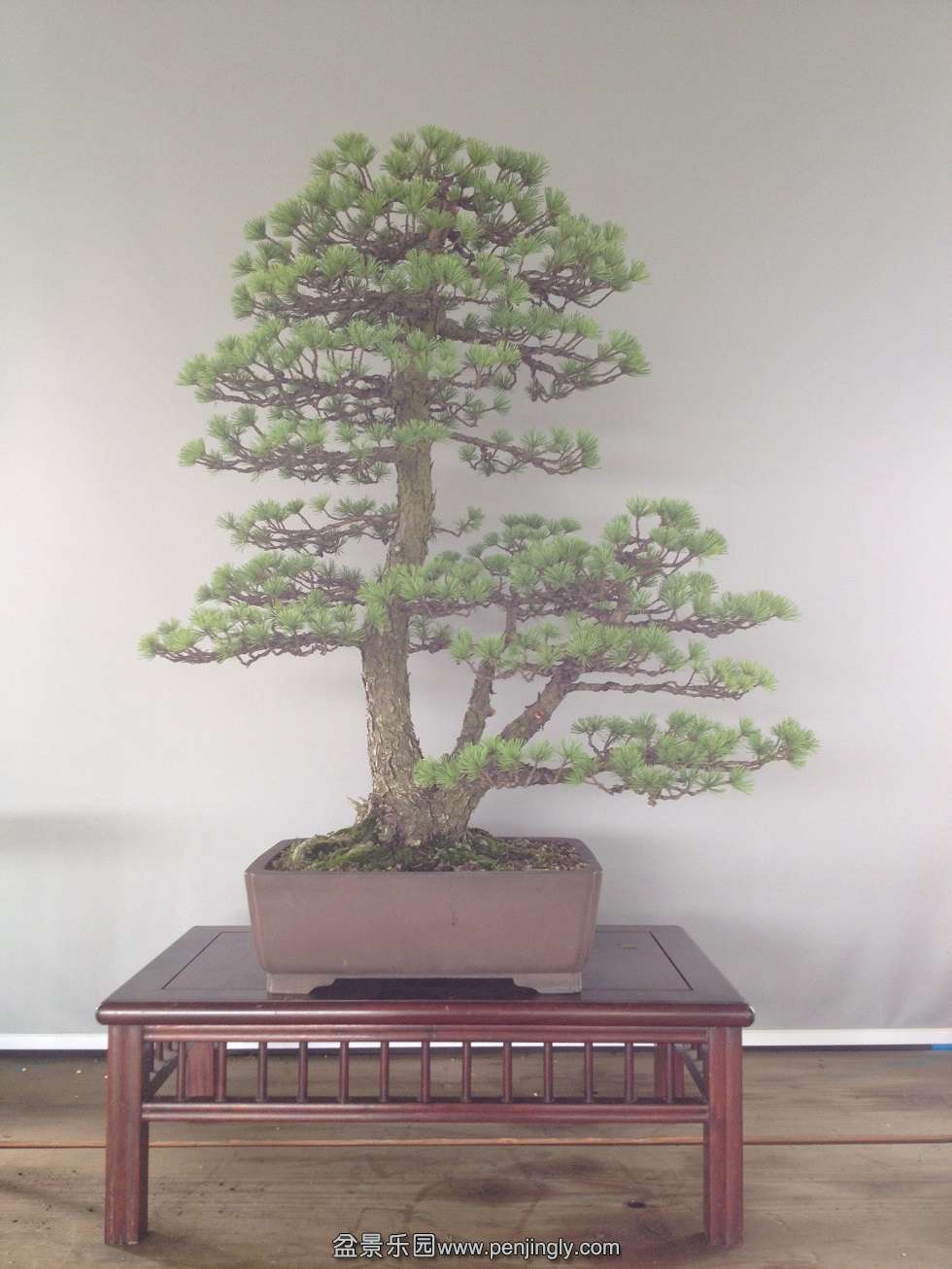 85cm,8cm,4cm,3cm