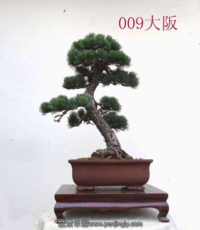 009-1.jpg