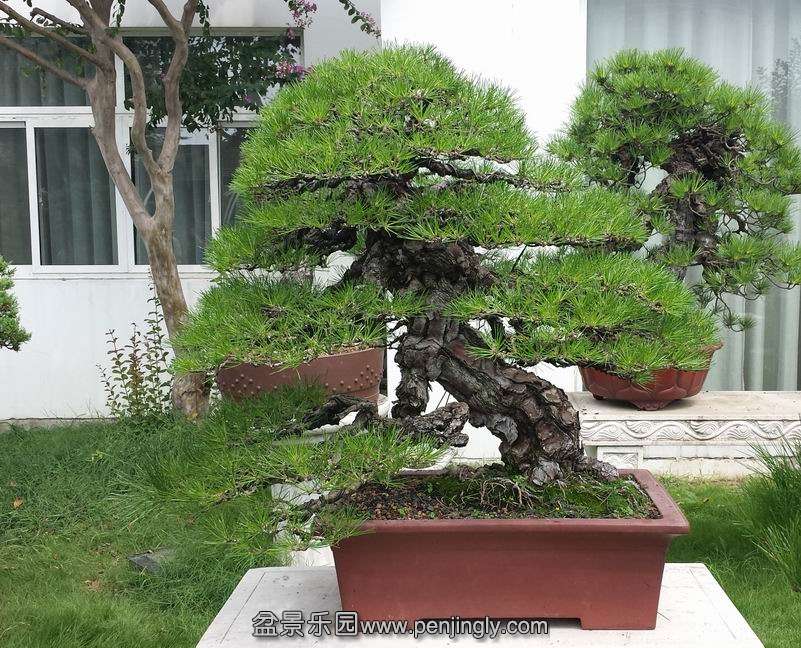 20140905_105456.jpg