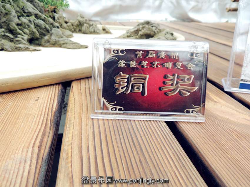 DSCN5607_.jpg