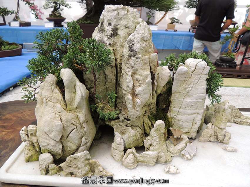 DSCN5658_.jpg