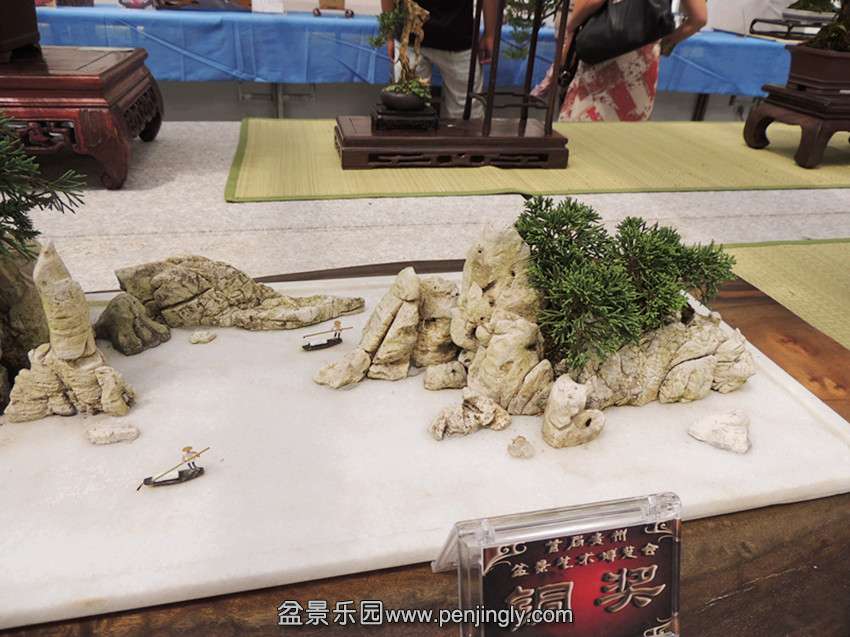 DSCN5659_.jpg