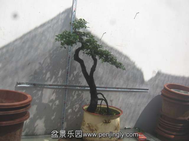 IMG_2891.JPG