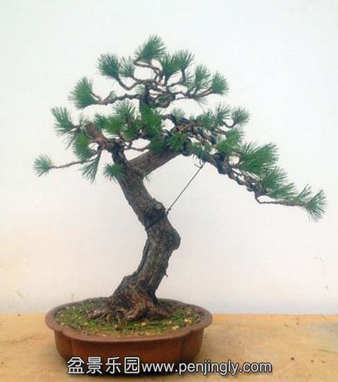 QQͼƬ20140909192412.jpg