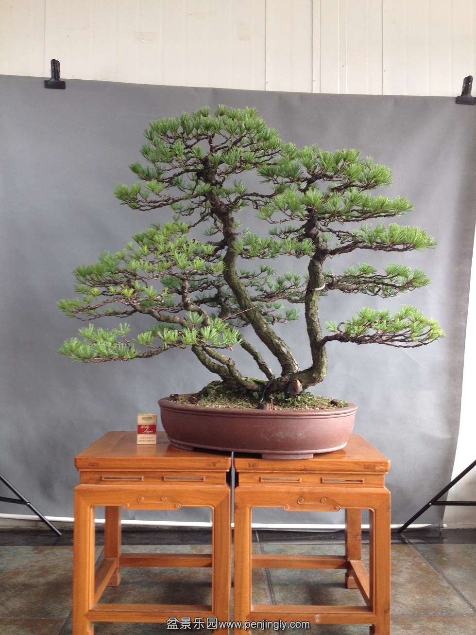 85cm110cm5cm,4.5cm,4cm,3cm,3cm