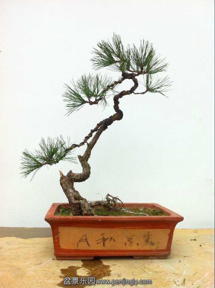 QQͼƬ20140909192353.jpg