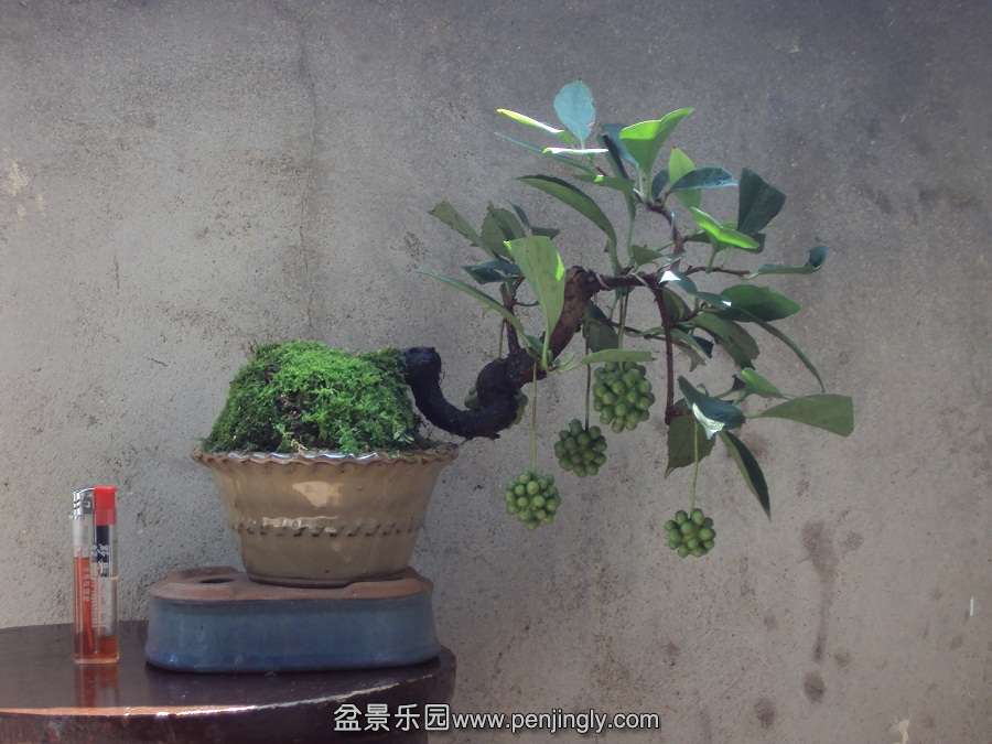 DSC03891.JPG