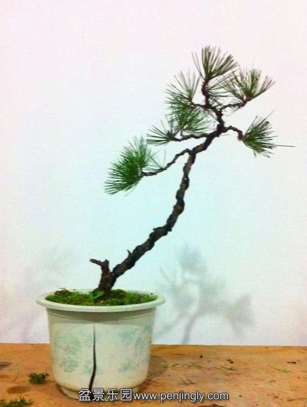 QQͼƬ20140911202340.jpg
