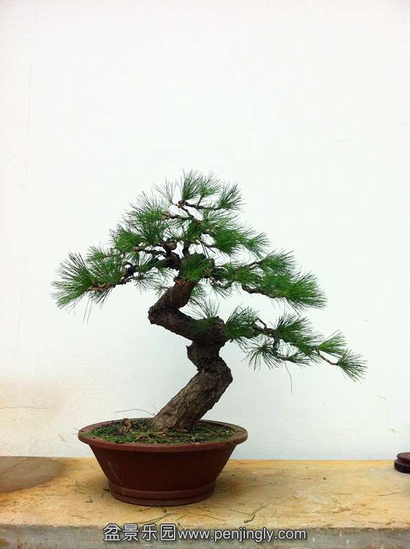 QQͼƬ20140912210554_.jpg