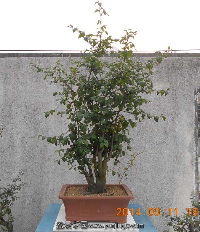 16ѻ4.jpg