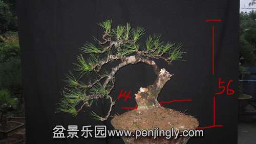 IMG_7822_.jpg