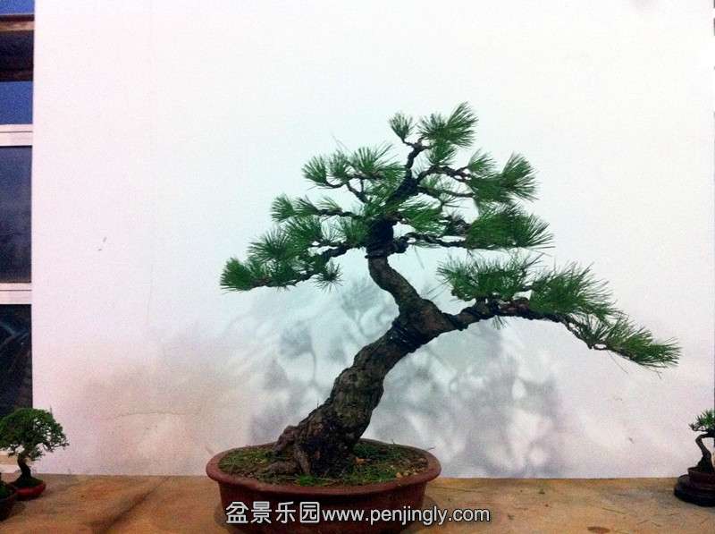 QQͼƬ20140913215340_.jpg