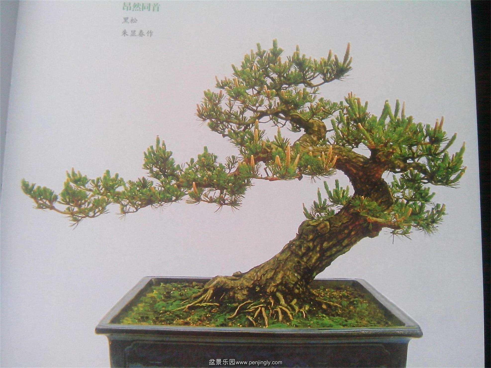 IMG20140914001.jpg