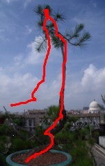 70.jpg