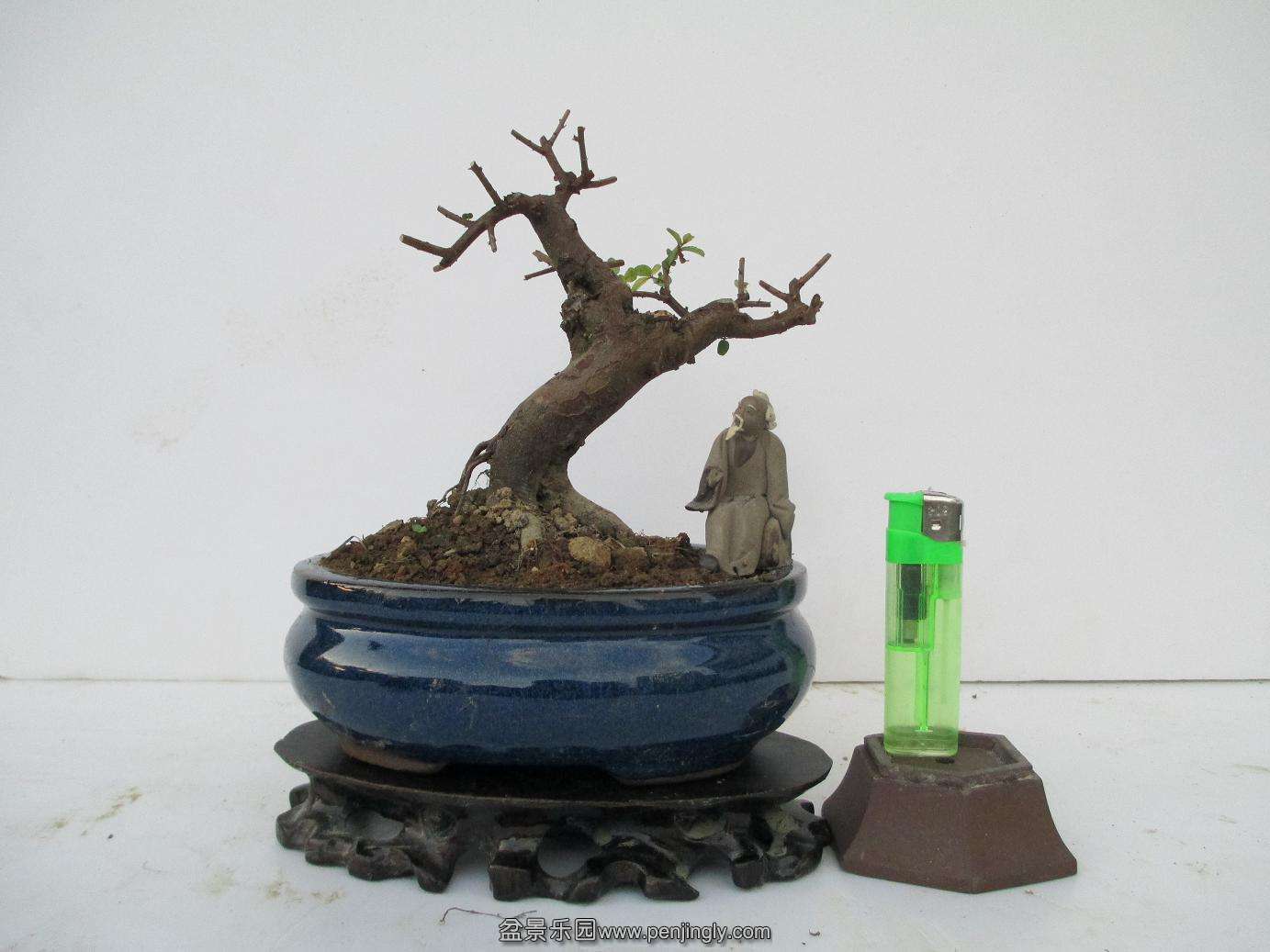 Ƭ 296.jpg