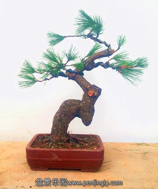 QQͼƬ20140915211340.jpg