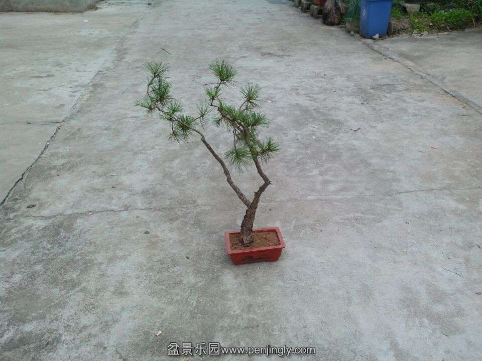ǰ
