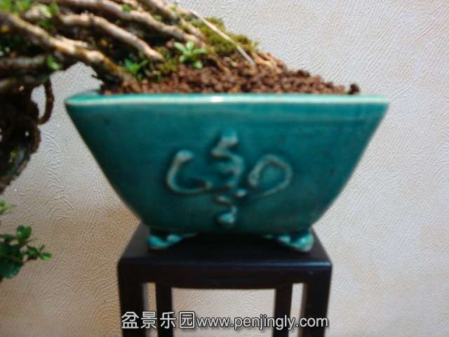 DSC08906.JPG