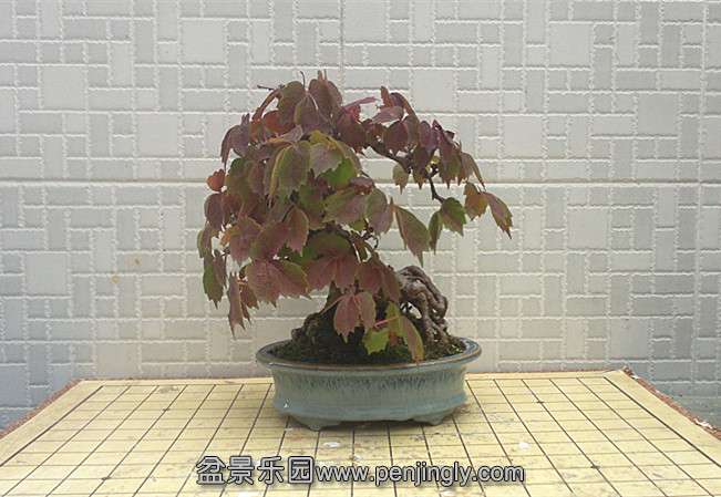 201409171488_.jpg